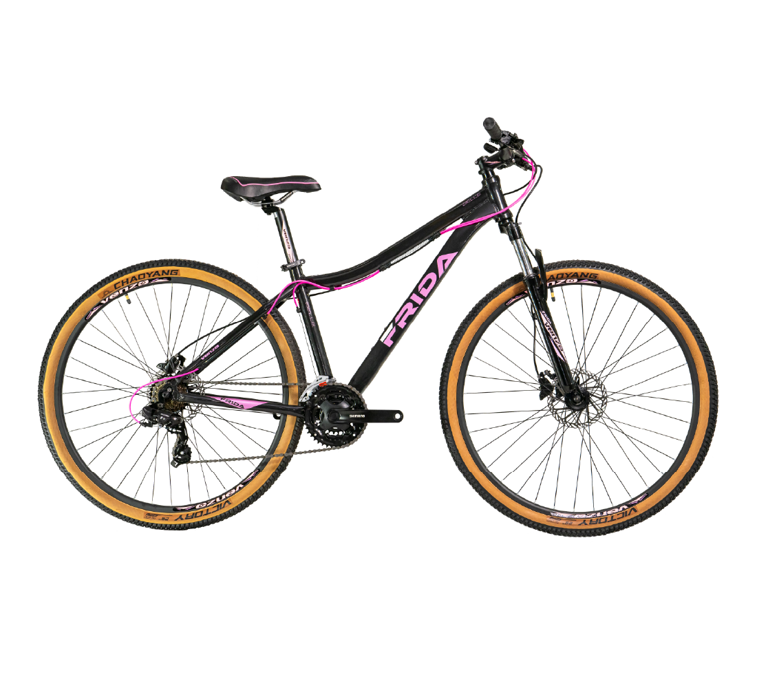 <b>Bicicleta Venzo Frida Belle</b>