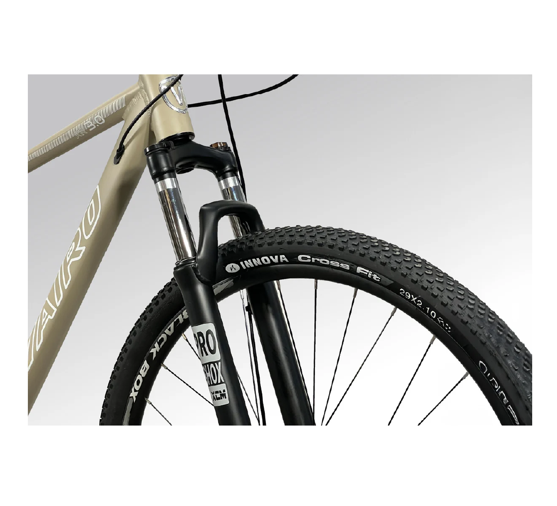 <b>Bicicleta Vairo XR 3.0</b> - Imagen 4