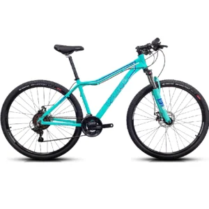 <b>Bicicleta Vairo XR 3.5 LADY</b>