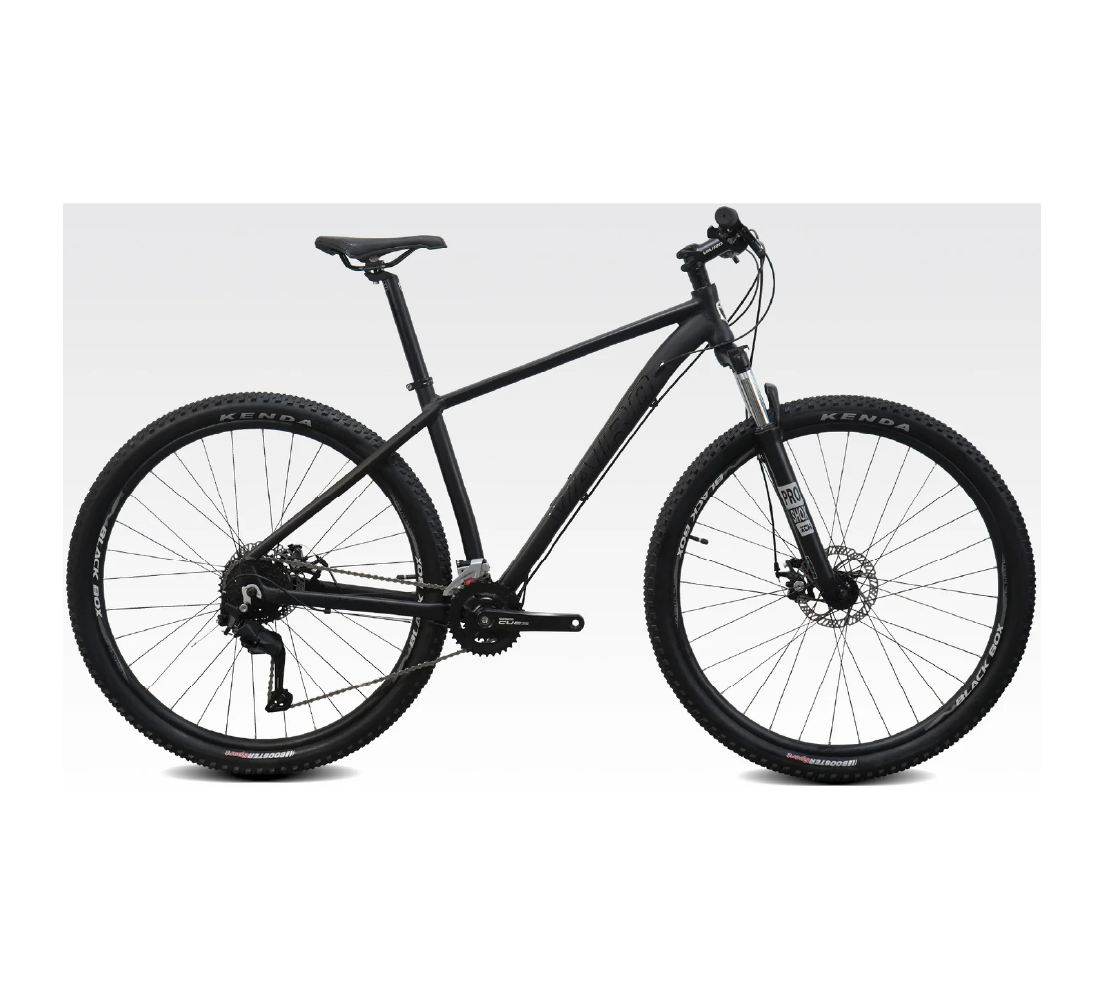<b>Bicicleta Vairo XR 3.5 CUES</b> - Imagen 2